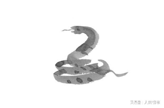 看点 第683页