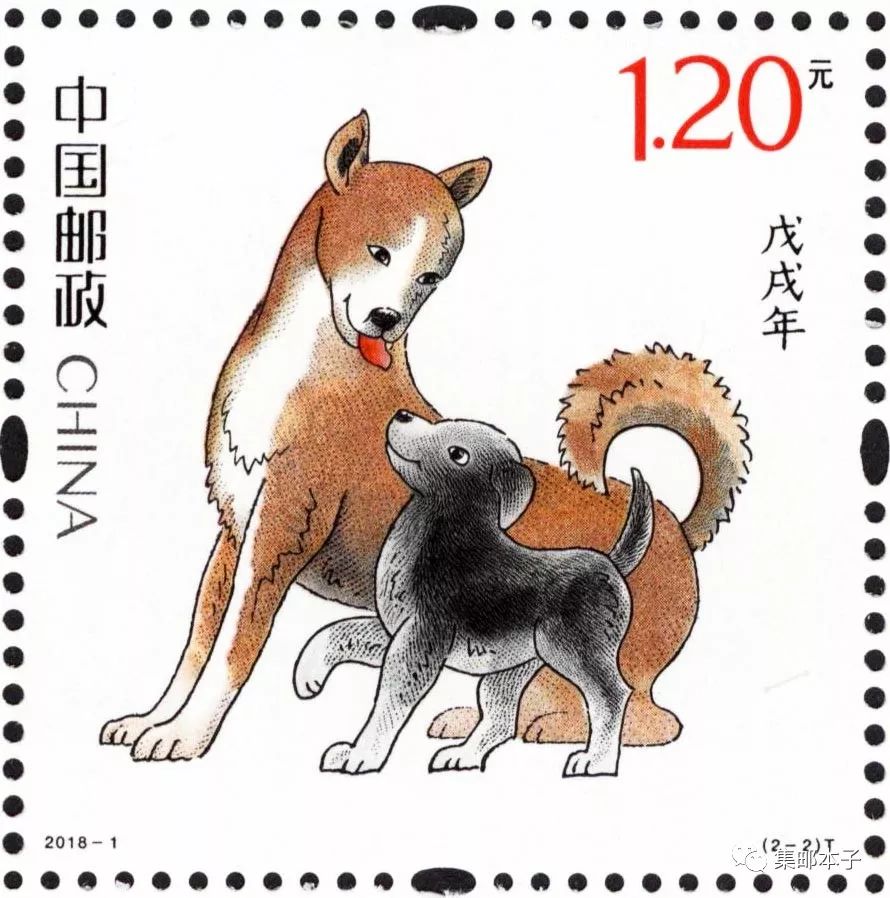 邑犬群吠背后的生肖之谜揭晓