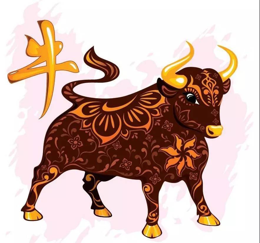 揭秘十二生肖神秘魅力与未来走向，生肖头像运势图详解
