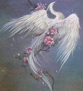 揭秘星座背后的神秘神兽，排名与图片一览全解析（附排名神兽图片）
