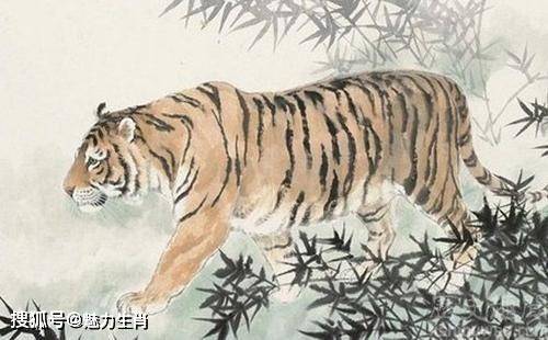 揭秘生肖中的不谋而合现象，哪个生肖最擅长默契配合？