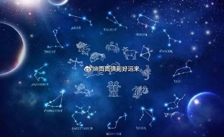 看点 第604页