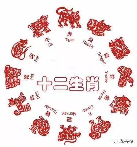 生不如死，十二生肖中的特殊含义揭秘