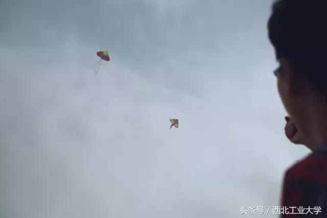 热文 第215页