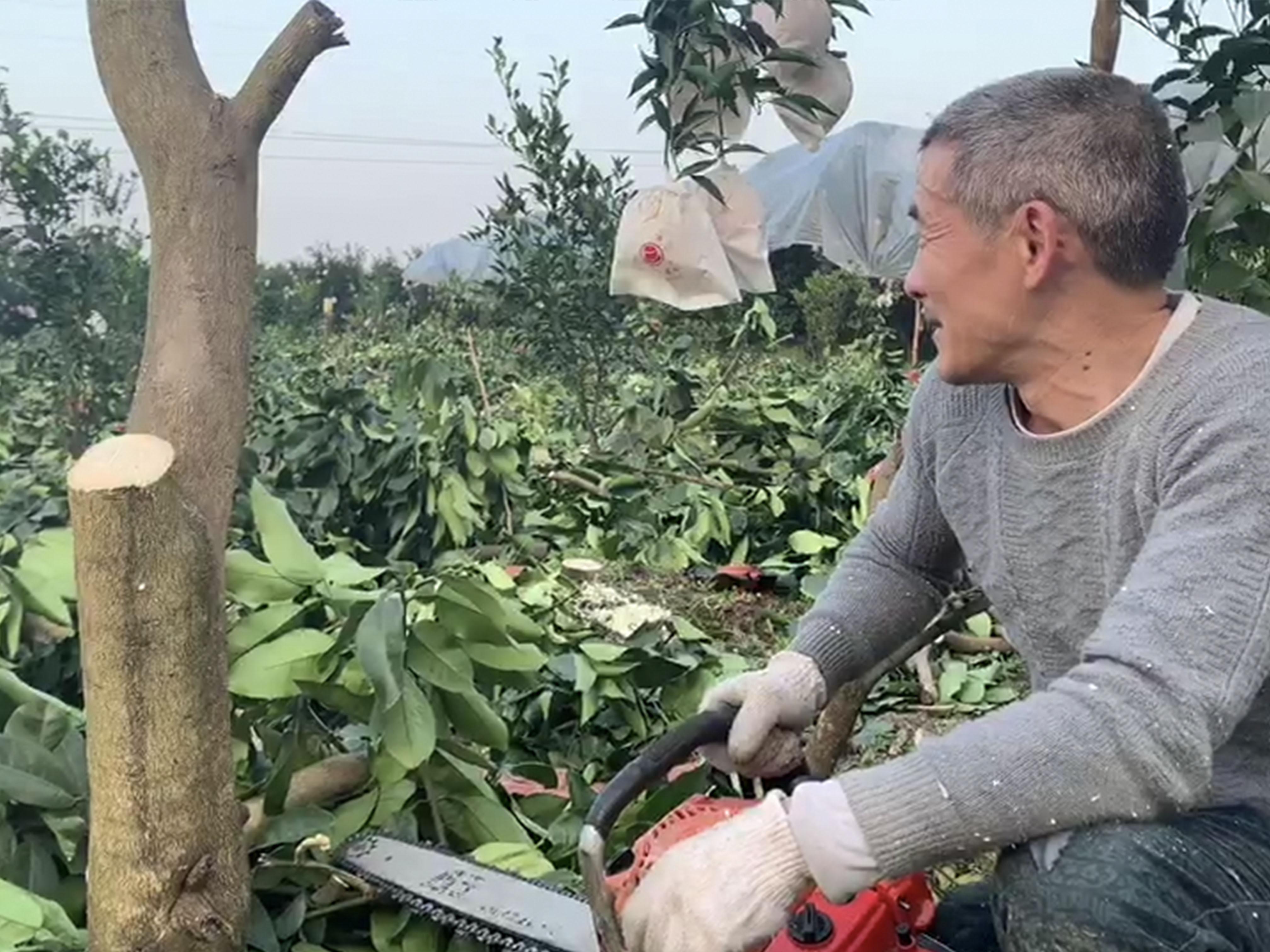 豪掷百万